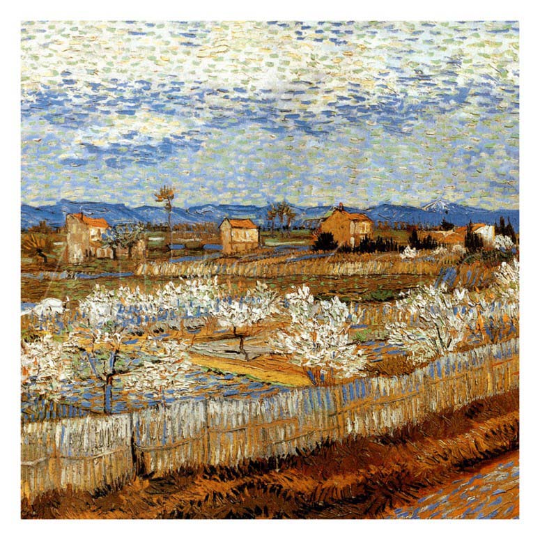 La Plaine De La Crau Avec Pechers En Fleurs By Vincent Van Gogh